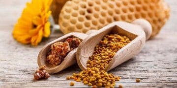 Propolis